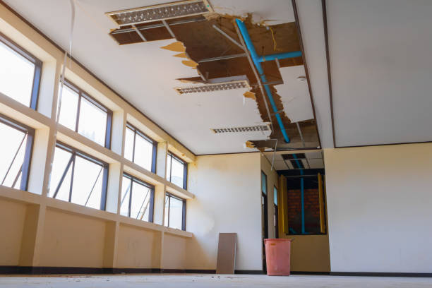 Best Water damage contractors near me  in Wmette, IL