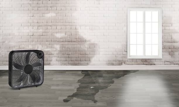 Best Flood damage cleanup  in Wmette, IL