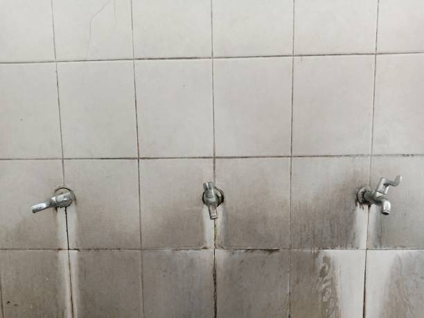 Best Flooded house restoration  in Wmette, IL