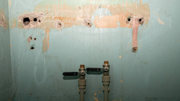 Best Water damage restoration near me  in Wmette, IL