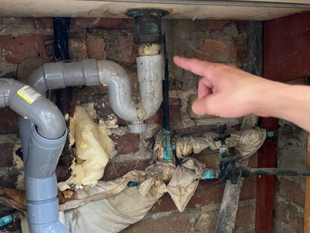 Best Fire Damage Restoration  in Wmette, IL